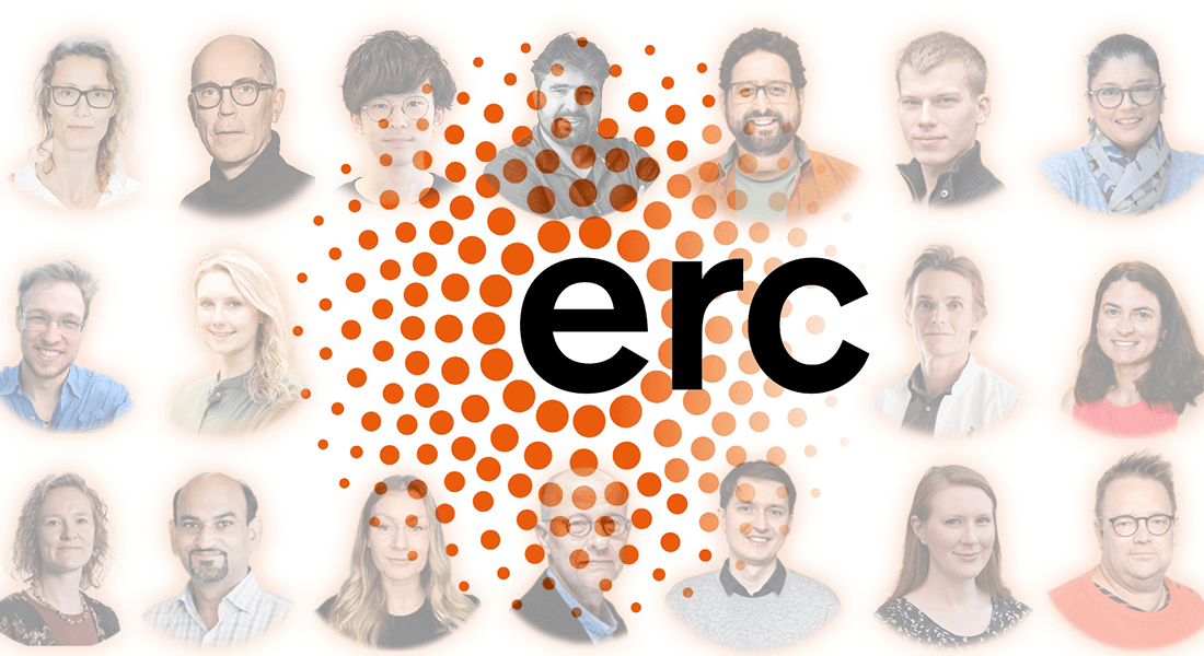 ERC 2024